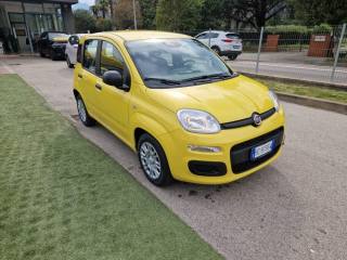 FIAT Pandina usata, con Climatizzatore
