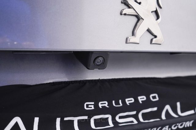 PEUGEOT 2008 usata 30