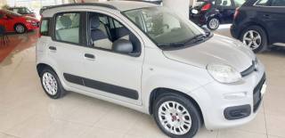 FIAT Panda usata, con Airbag Passeggero