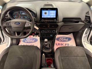 FORD EcoSport usata, con Volante in pelle