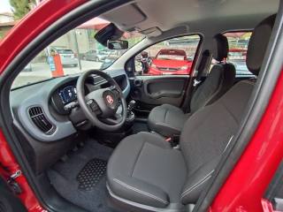 FIAT Panda usata, con Controllo trazione