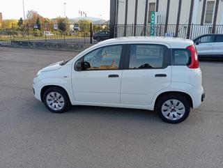 FIAT Panda usata 22