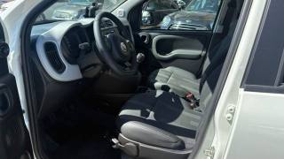 FIAT Panda usata, con Climatizzatore