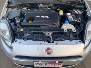 FIAT Punto usata 13