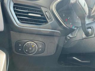 FORD Focus usata, con Cruise Control