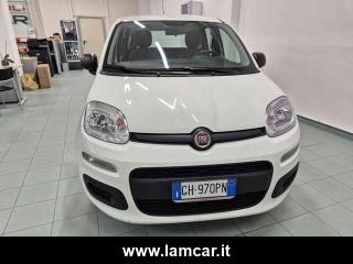 FIAT Panda usata, con Alzacristalli elettrici