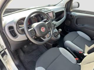 FIAT Panda usata 8