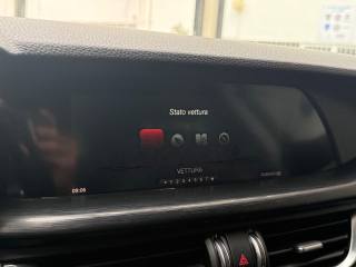 ALFA ROMEO Stelvio usata, con Vetri oscurati