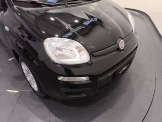 FIAT Pandina usata 19