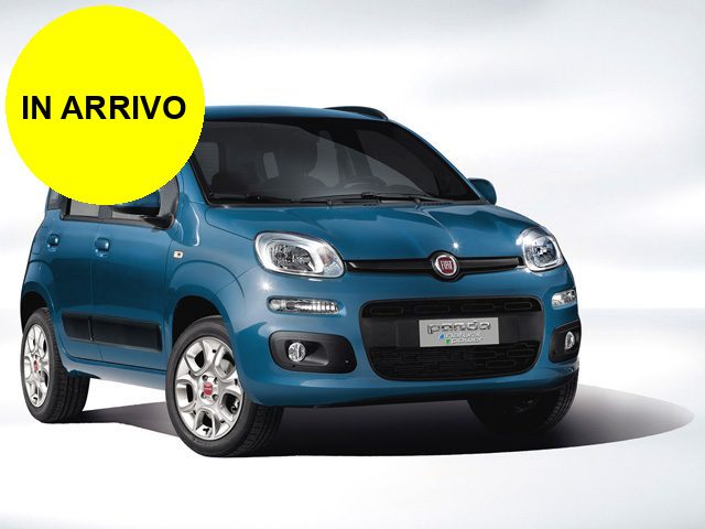 FIAT Panda usata, con ABS