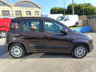 FIAT Panda usata 3