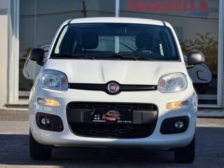 FIAT Panda usata, con Airbag Passeggero