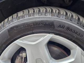 FORD C-Max usata, con Fendinebbia