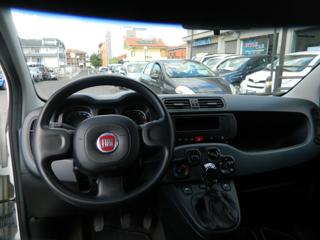 FIAT Panda usata, con Controllo trazione