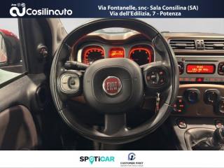 FIAT Panda Cross usata, con ESP