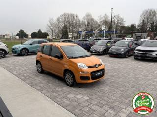 FIAT Panda usata, con Alzacristalli elettrici
