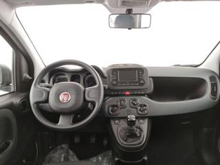 FIAT Panda usata, con Climatizzatore