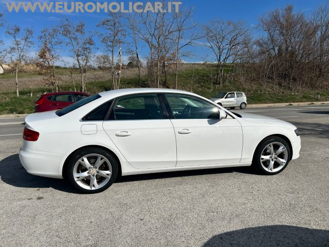AUDI A4 usata, con Fendinebbia
