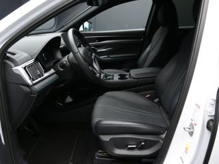 BYD Seal usata, con Autoradio