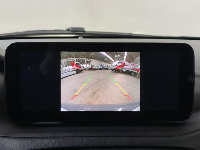 FIAT Tipo usata, con Immobilizzatore elettronico