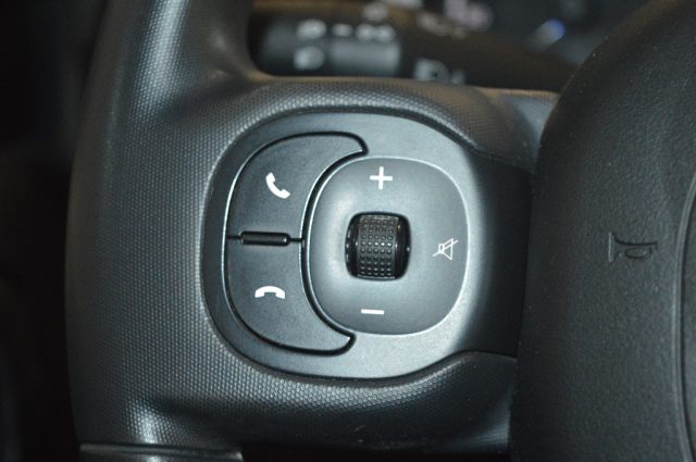 FIAT Panda Cross usata, con Immobilizzatore elettronico