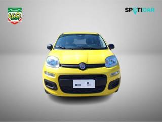FIAT Pandina usata, con Airbag