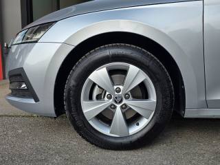 SKODA Octavia usata 147