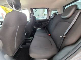 FIAT Panda Cross usata, con Fendinebbia
