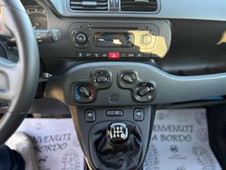 FIAT Panda usata, con Airbag testa