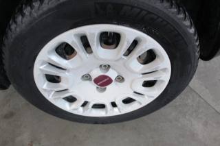 FIAT Panda usata 13