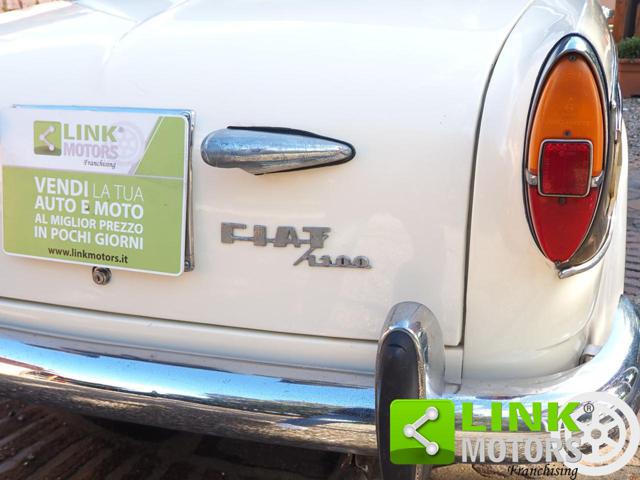 FIAT 1100 usata 20