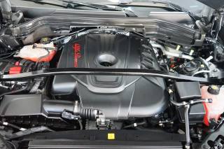 ALFA ROMEO Stelvio usata 58
