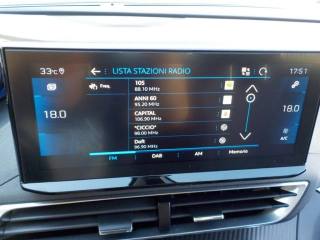 PEUGEOT 3008 usata, con Touch screen