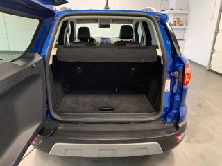 FORD EcoSport usata, con Cronologia tagliandi