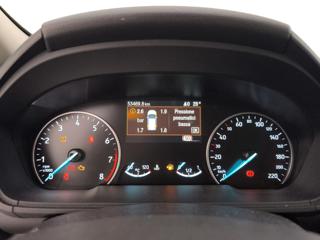 FORD EcoSport usata, con Fendinebbia