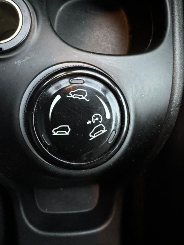 FIAT Panda Cross usata, con Servosterzo