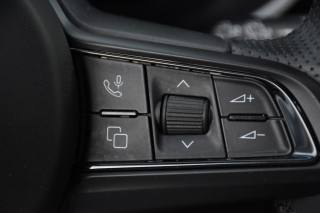 ALFA ROMEO Stelvio usata, con Bracciolo