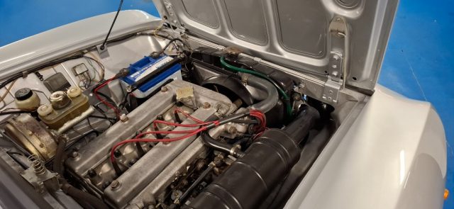 ALFA ROMEO GT usata 12