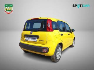 FIAT Pandina usata, con Alzacristalli elettrici