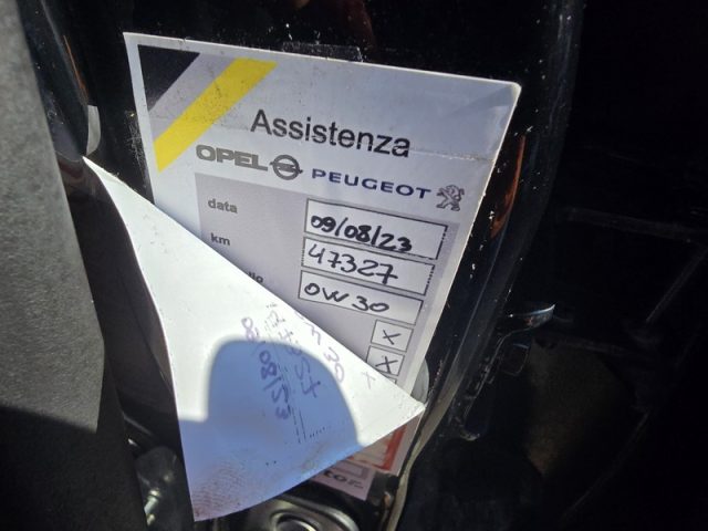 OPEL Grandland X usata, con Fendinebbia