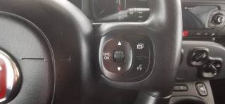 FIAT Panda usata 40