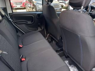 FIAT Panda usata 20