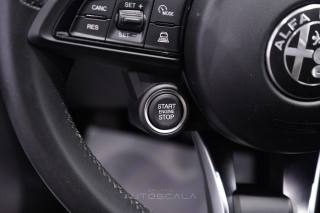 ALFA ROMEO Tonale usata, con Servosterzo