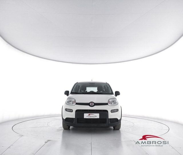 FIAT Panda usata 4