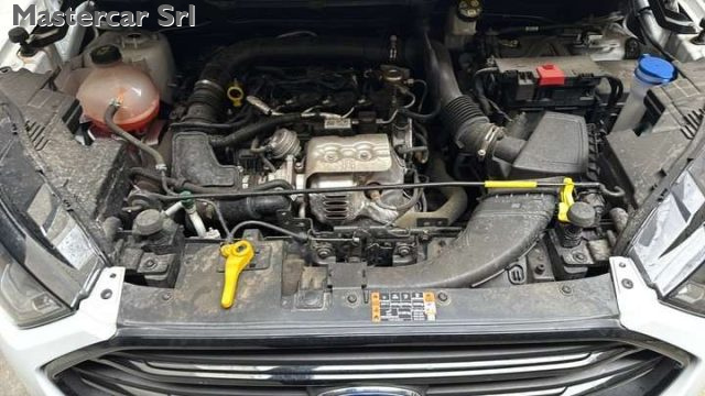 FORD EcoSport usata, con ESP