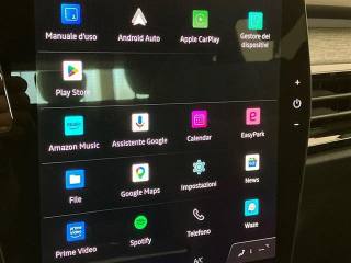 RENAULT Austral usata, con Cruise Control