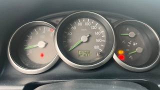 FORD Ranger usata, con Fendinebbia