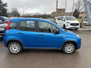 FIAT Panda usata, con Alzacristalli elettrici