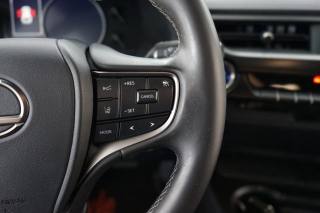 LEXUS UX 250h usata 34