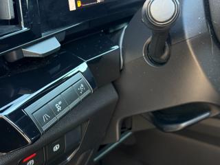 RENAULT Austral usata, con Vetri oscurati